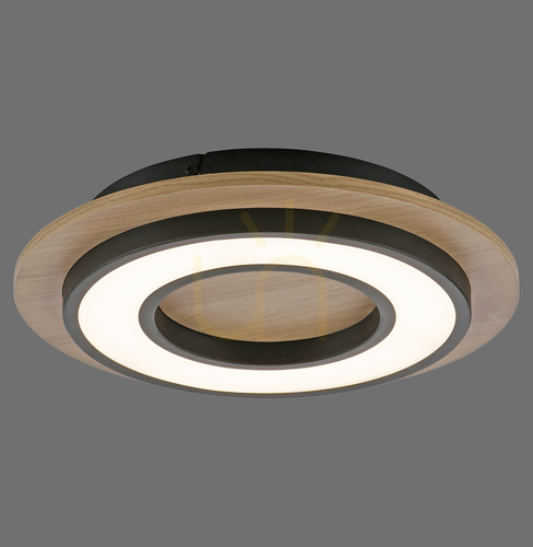 Prüfen TOLA plafond 14560-18 Schwarz 1xLED