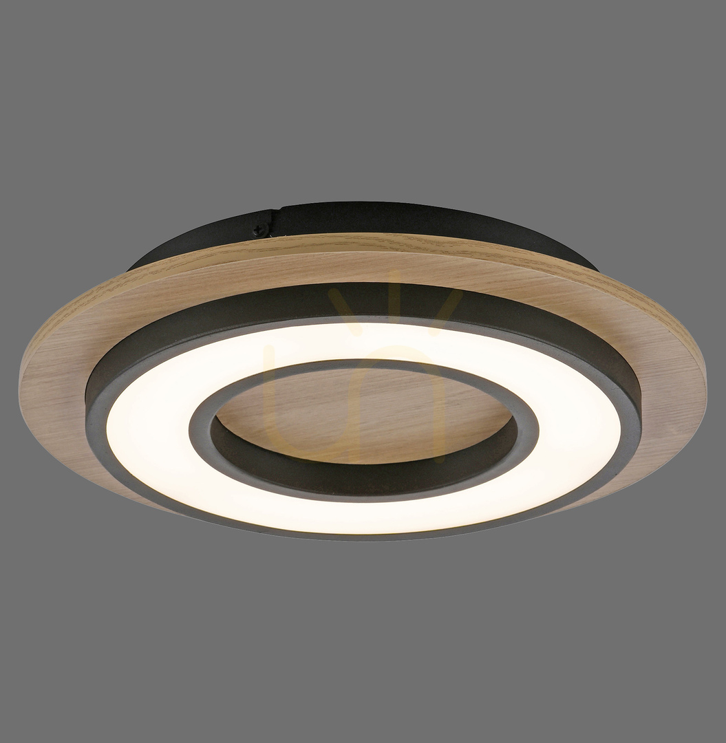 Prüfen TOLA plafond 14560-18 Schwarz 1xLED TOLA plafond 14560-18 Schwarz 1xLED