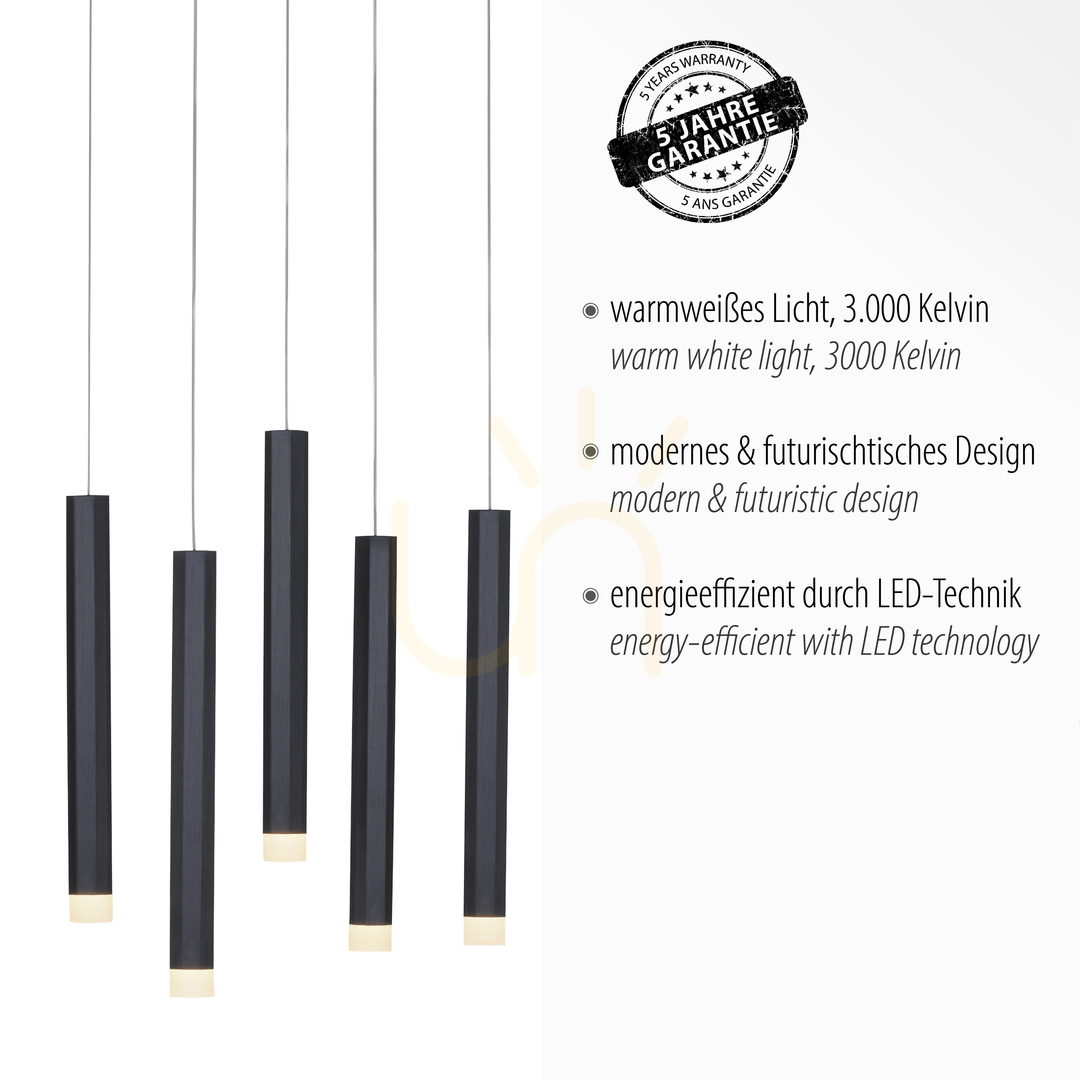 Anzeige BRUNO Pendelleuchte 15206-18 Schwarz 10xLED BRUNO Pendelleuchte 15206-18 Schwarz 10xLED