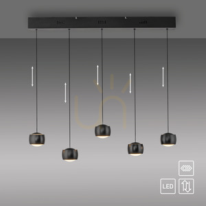BALLINI Pendelleuchte 15262-18 Schwarz 5xLED small 10