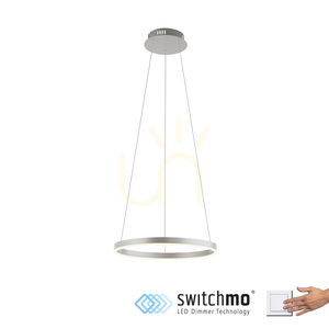 RITUS Pendelleuchte 15393-95 Silber 1xLED small 1