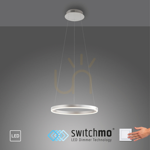 RITUS Pendelleuchte 15393-95 Silber 1xLED small 10