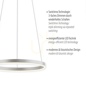 RITUS Pendelleuchte 15393-95 Silber 1xLED small 3
