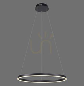 RITUS Pendelleuchte 15394-13 Anthrazit 1xLED small 0
