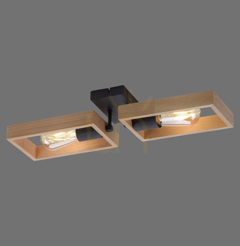 Prüfen Plafond FRANKY 15657-18 Schwarz 2xE27