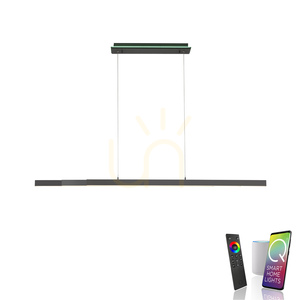 Paul Neuhaus Q-ARIAN 2569-13 LED-Pendelleuchte, Anthrazit, CCT RGB small 1