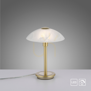 ENOVA Tischleuchte 4026-60 Braun 1xG9 12 ENOVA Tischleuchte 4026-60 Braun 1xG9 small 12