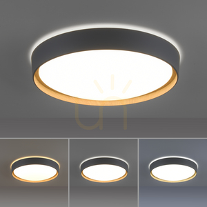 Plafond Q-EMILIA 6118-15 Grau 1xLED 4 Plafond Q-EMILIA 6118-15 Grau 1xLED small 4