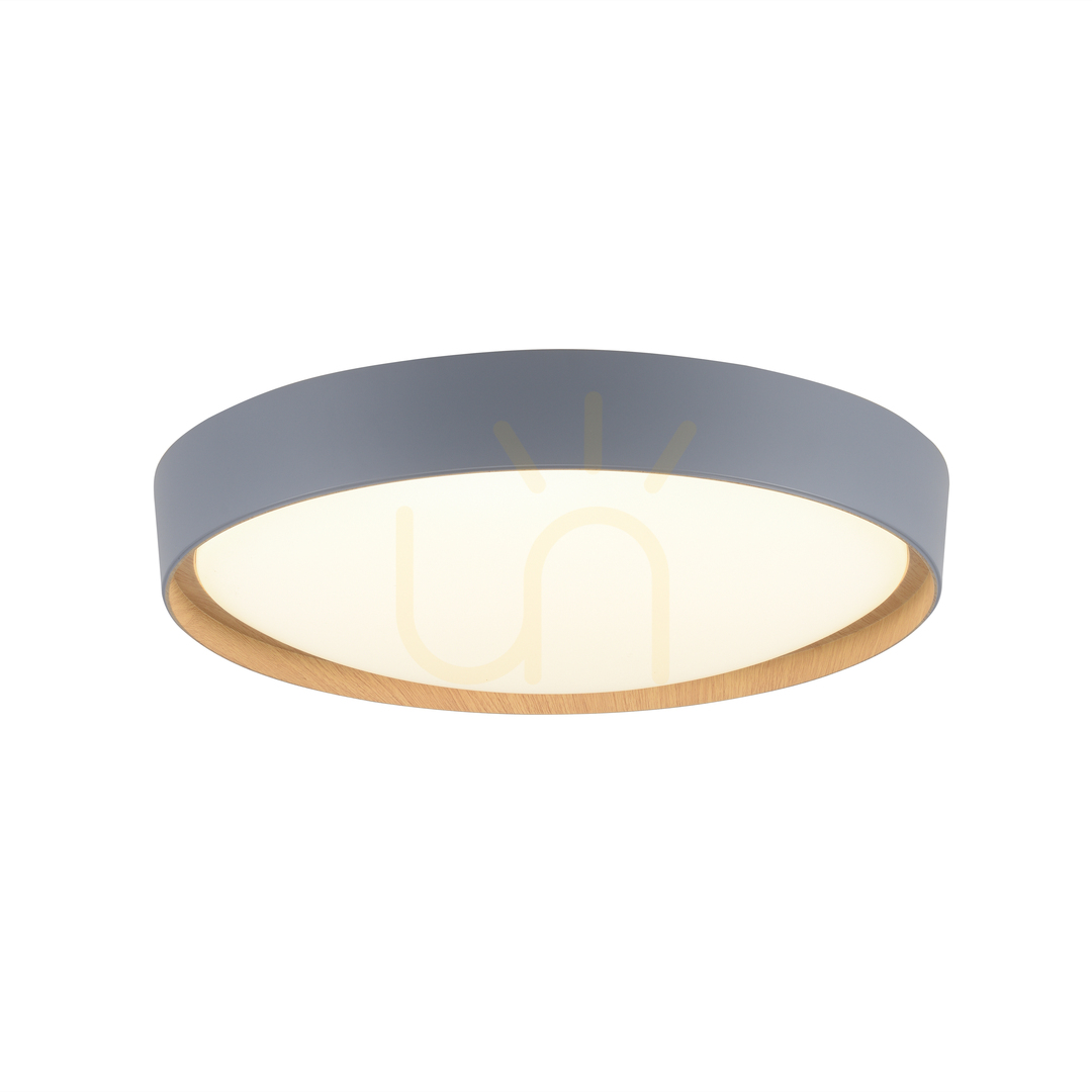Aussicht Plafond Q-EMILIA 6118-15 Grau 1xLED Plafond Q-EMILIA 6118-15 Grau 1xLED