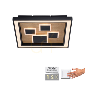 Plafond ELIZA 6283-79 Schwarz 1xLED small 1