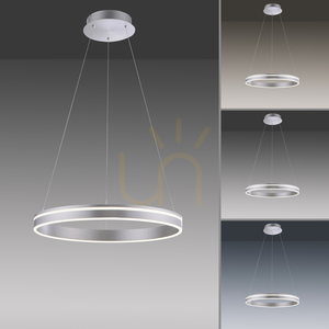 Q-VITO Pendelleuchte 8411-55 Silber 1xLED small 4