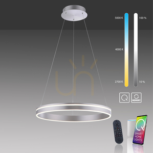 Q-VITO Pendelleuchte 8411-55 Silber 1xLED small 9