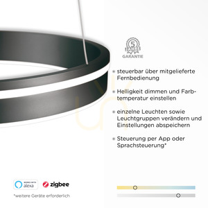 Q-VITO 8412-13 Anthrazit 1xLED Pendelleuchte small 3