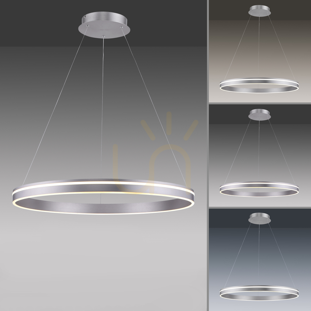 Zeige Q-VITO Pendelleuchte 8412-55 Silber 1xLED Q-VITO Pendelleuchte 8412-55 Silber 1xLED