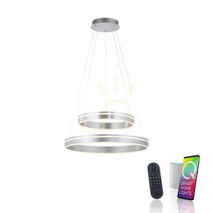 Q-VITO Pendelleuchte 8420-55 Silber 2xLED small 1