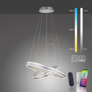 Q-VITO Pendelleuchte 8420-55 Silber 2xLED small 8
