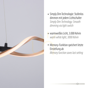 POLINA Pendelleuchte 9142-18 Schwarz 2xLED 3 POLINA Pendelleuchte 9142-18 Schwarz 2xLED small 3
