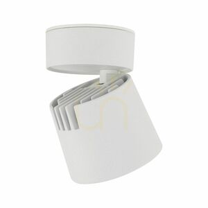 Kyoto White CCT 12 W small 2