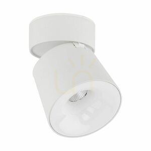 Kyoto White CCT 12 W small 0