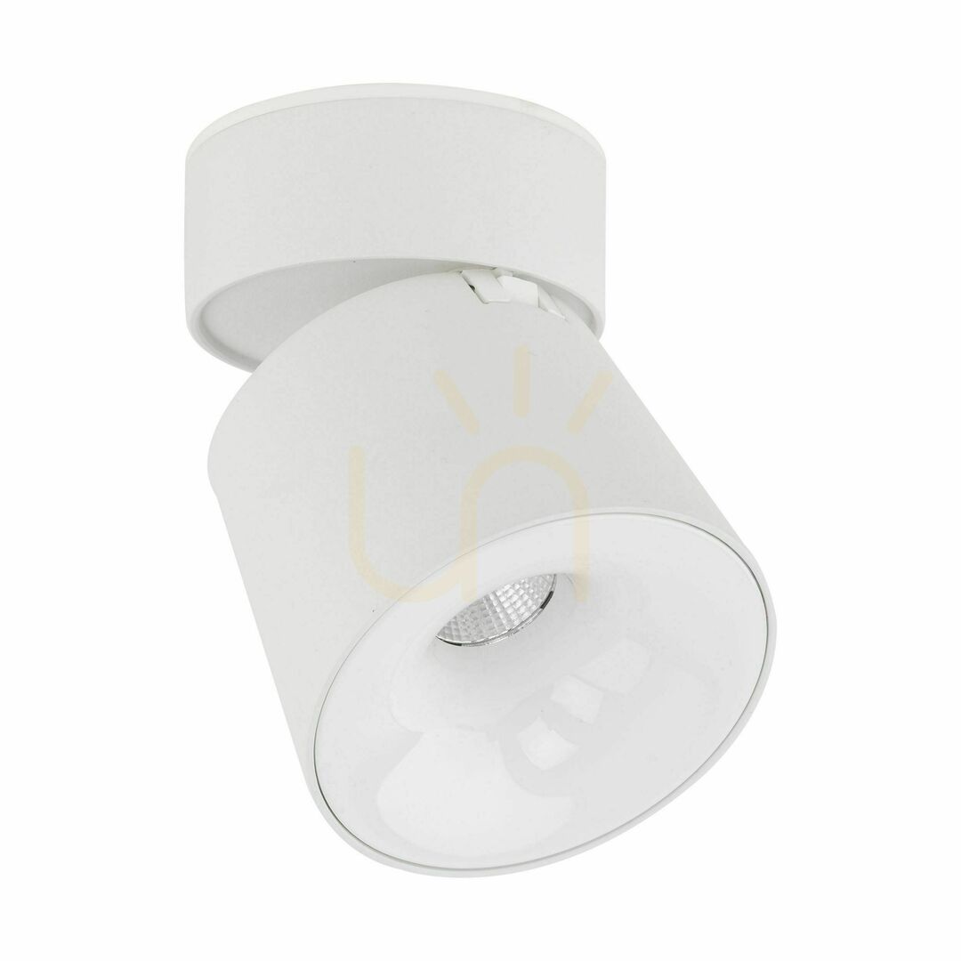 Kyoto White CCT 12 W