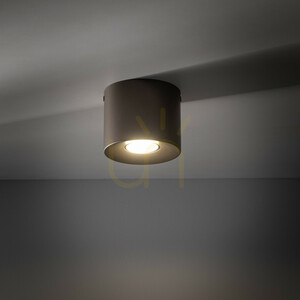 Orion S Neu Braun 1 Xgu10 small 1