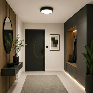 Velis Black 24 W LED-Deckenleuchte IP54 small 1