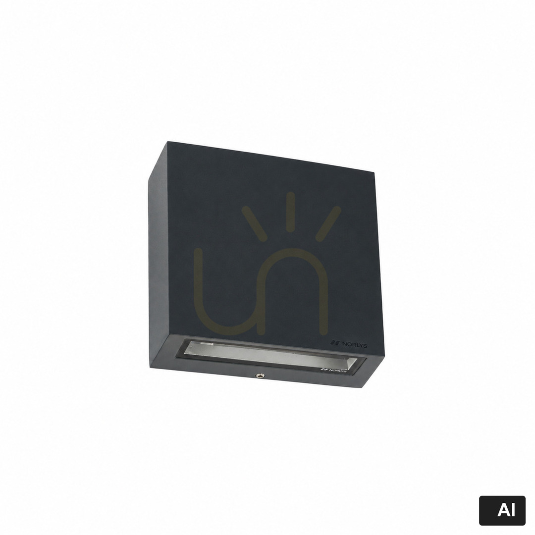 Graphite Nora 2482GR outdoor wall light LED 15 W 3000 K NORLYS