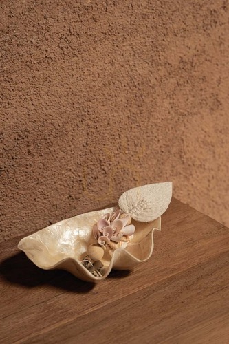 Prüfen Seifenschale BAZAR BIZAR aus Muschel weiß 25x17x9 cm