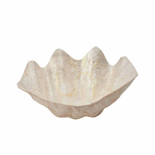 Prüfen Seifenschale BAZAR BIZAR aus Muschel weiß 25x17x9 cm