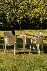 FPRK568 Premo Gartenstuhl mit Armlehnen – Carbonfaser FERNE 3 FPRK568 Premo Gartenstuhl mit Armlehnen – Carbonfaser FERNE small 3