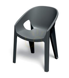 FPRK658 Premo Gartenstuhl mit Armlehnen – Carbon FERNE small 0