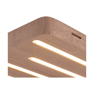 Neele Deckenleuchte / Wandleuchte, geölte Eiche, 5xLED, 19,5 W, 34 cm small 3