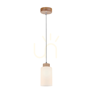 Bosco Pendelleuchte, 1xE27, Max. 60 W, Birke/transparentes PVC-Kabel/weißer Glasschirm, Ø 10 cm small 1