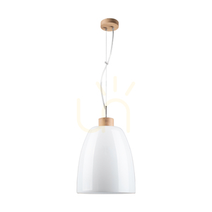 Campana Pendelleuchte, 1xE27, Max. 60 W, geölte Eiche / transparentes PVC-Kabel / weißer Glasschirm, Ø 30 cm small 0
