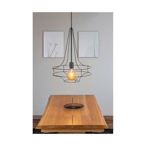 Casa Rina Pendelleuchte, 1xE27, Max. 60 W, schwarzes Metall/schwarzes PVC-Kabel, Ø 48 cm small 2