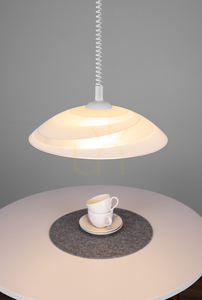 Circle Pendelleuchte, 1xE27, Max. 60 W, weißer Kunststoff / weißes PVC-Kabel / weißer Glasschirm, Ø 40 cm small 6