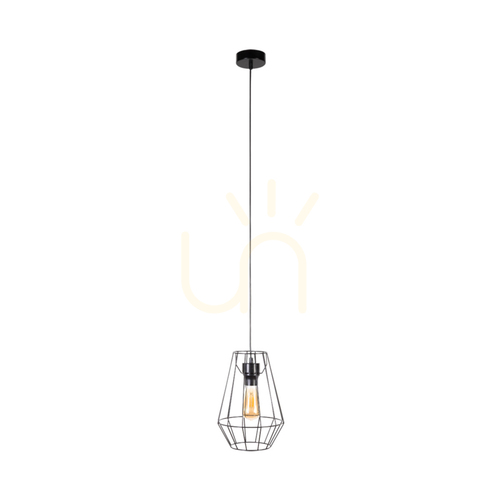 Prüfen Endorfina Pendelleuchte, 1xE27, Max. 60 W, schwarzes Metall/schwarzes PVC-Kabel, Ø 21 cm