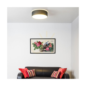 LED-Deckenleuchte Spot Light Josefina 4782802, Anthrazit/Weiß, Ø28 cm, 13 W, 2700 K small 1