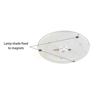 LED-Deckenleuchte Spot Light Josefina 4782802, Anthrazit/Weiß, Ø28 cm, 13 W, 2700 K small 2