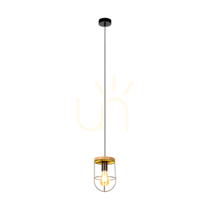 Netuno Pendelleuchte 1xE27 Max. 60 W, geölte Eiche/schwarzes Metall/schwarzes PVC-Kabel, Ø 15 cm small 1