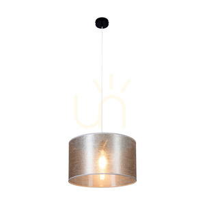 Nevoa Pendelleuchte, 1xE27, Max. 60 W, schwarzes Metall/transparentes PVC-Kabel/silberner Lampenschirm, Ø 40 cm small 1