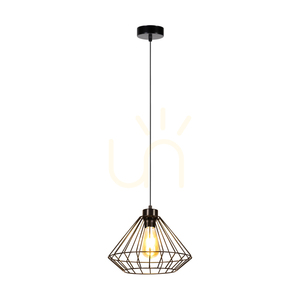 Raquelle Pendelleuchte, 1xE27, Max. 60 W, schwarzes Metall / schwarzes PVC-Kabel / schwarzer Metallschirm, Ø 30 cm small 1