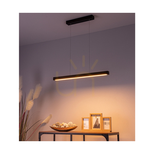 Smal 2xLED 3000K 22,5 W Pendelleuchte, Buche und Walnussholz / transparentes PVC-Kabel mit Touch-Dimmer, 80 cm small 3