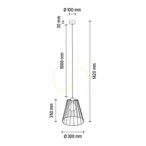Schwan-Pendelleuchte, 1xE27, Max. 60 W, schwarzes Metall / schwarzes PVC-Kabel / schwarzer Metallschirm, Ø 30 cm small 2