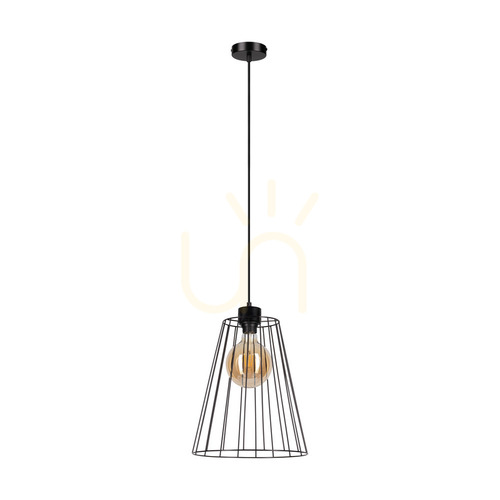 Prüfen Schwan-Pendelleuchte, 1xE27, Max. 60 W, schwarzes Metall / schwarzes PVC-Kabel / schwarzer Metallschirm, Ø 30 cm