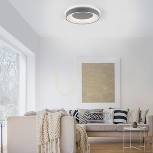 ANIKA 14326-18 Deckenleuchte, grau, 1xLED small 3
