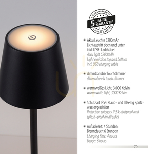 EURIA 19250-18 Tischlampe, schwarz, 1xLED small 4