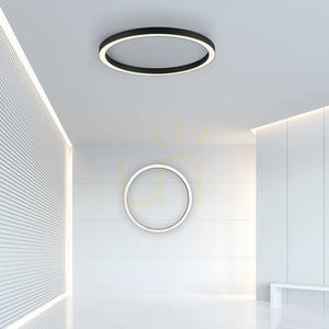 PURE-LINES 6306-13 Anthrazit 1xLED-Pendelleuchte small 2