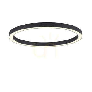 PURE-LINES 6306-13 Anthrazit 1xLED-Pendelleuchte small 7