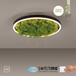 GREEN RITUS 15391-66 Deckenleuchte, beige, 1xLED 11 GREEN RITUS 15391-66 Deckenleuchte, beige, 1xLED small 11